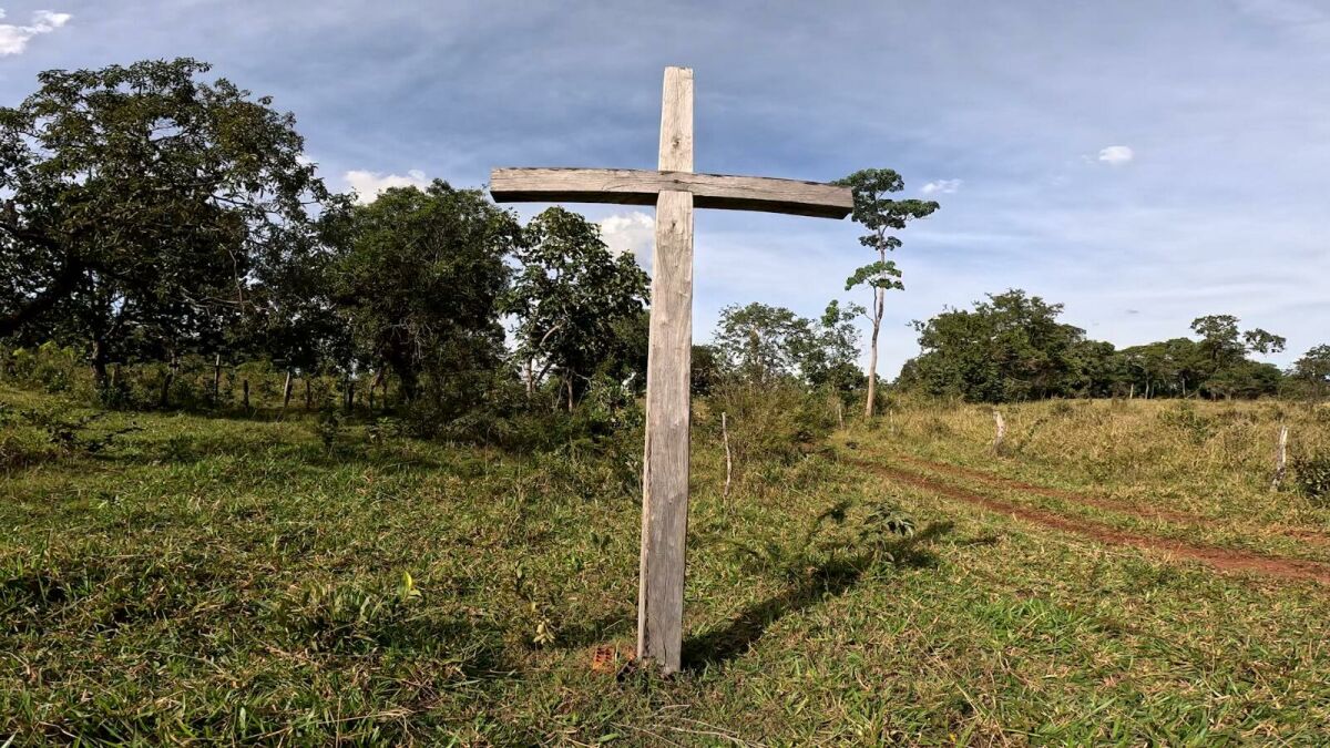 Imagem da Galeria